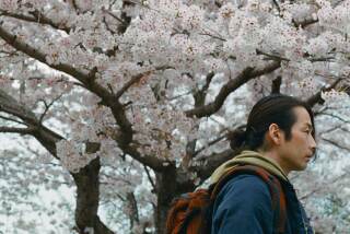 A man walks among cherry blossoms.