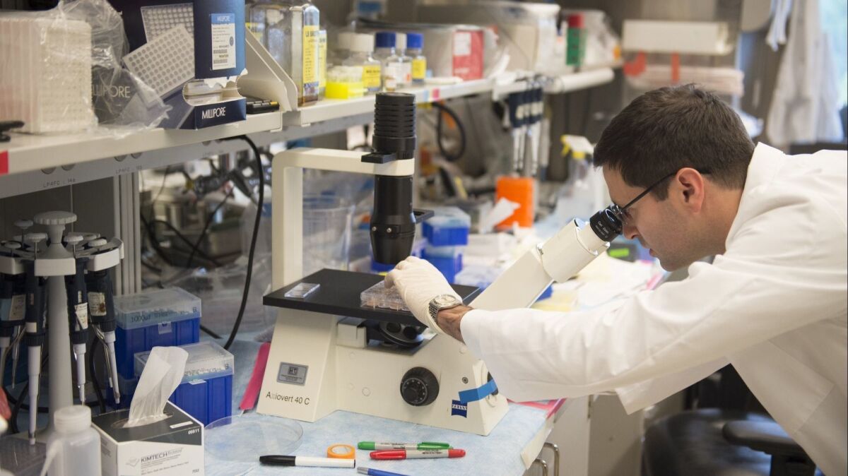 A researcher in a lab at the the National Cancer Institute. President Trump's proposed budget includes a nearly 15% cut for NCI.