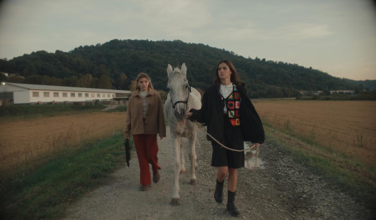 Two women walk with a white horse between them on a deserted rural road