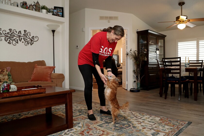HOA President Carol Rohr, 65, plays with Ellie, her 12-year-old chihuahua mix, in her home at Skandia on Tuesday.