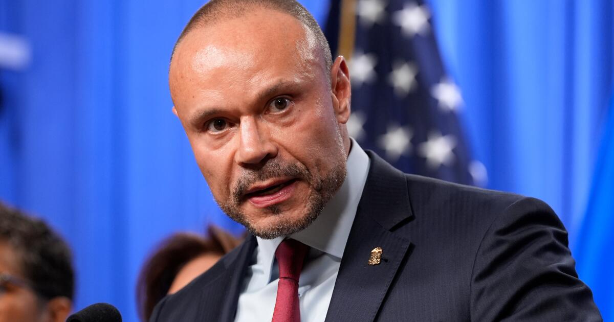 Don Bongino planeja renunciar ao cargo de vice-diretor do FBI no próximo mês Don Bongino planeja renunciar ao cargo de vice-diretor do FBI no próximo mês