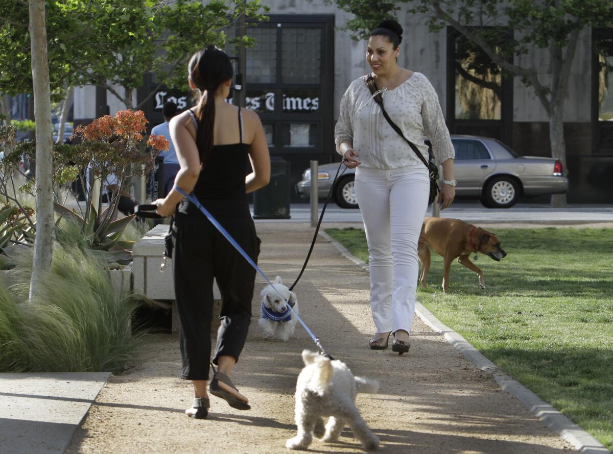 Walking your dog without a leash in Los Angeles could now get you slapped with a fine.