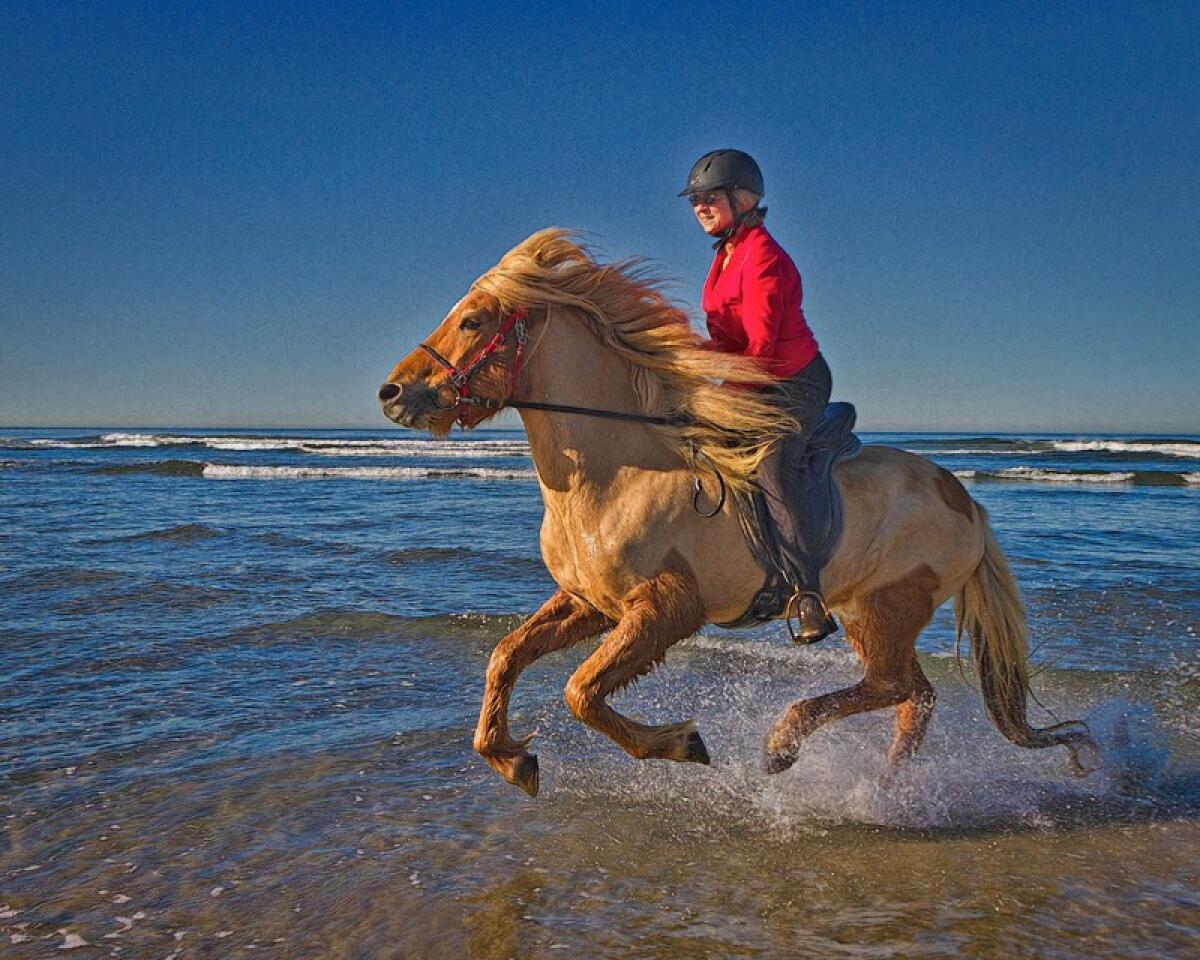 Sunland Ranch owner Kimberly Hart riding Icelandic horse Hroar.