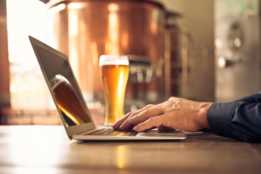 Brewer using laptop at micro brewery