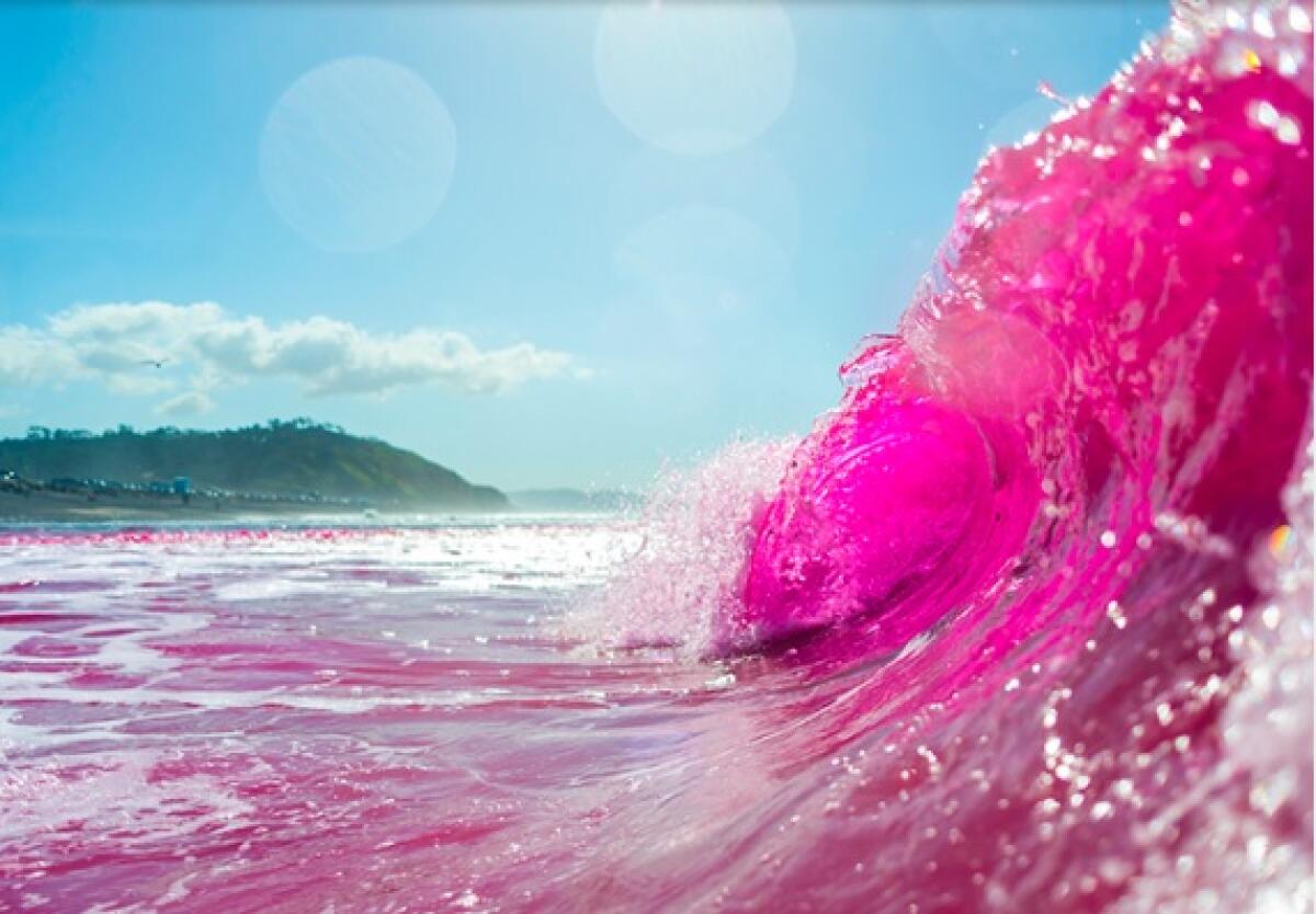Pink waves roll in at Torrey Pines State Beach on Jan. 20 as part of a Scripps Institution of Oceanography experiment.