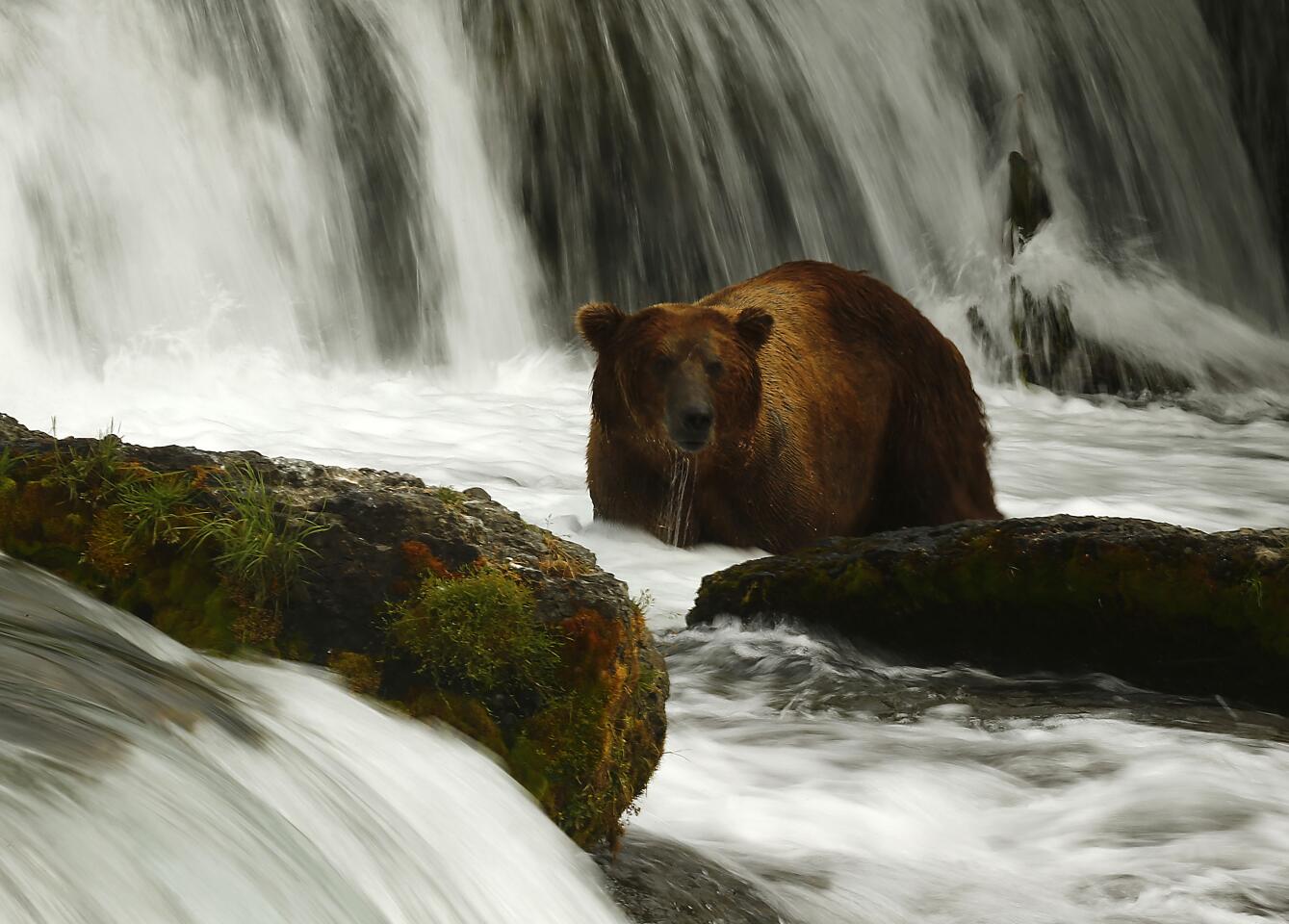 Katmai National Park