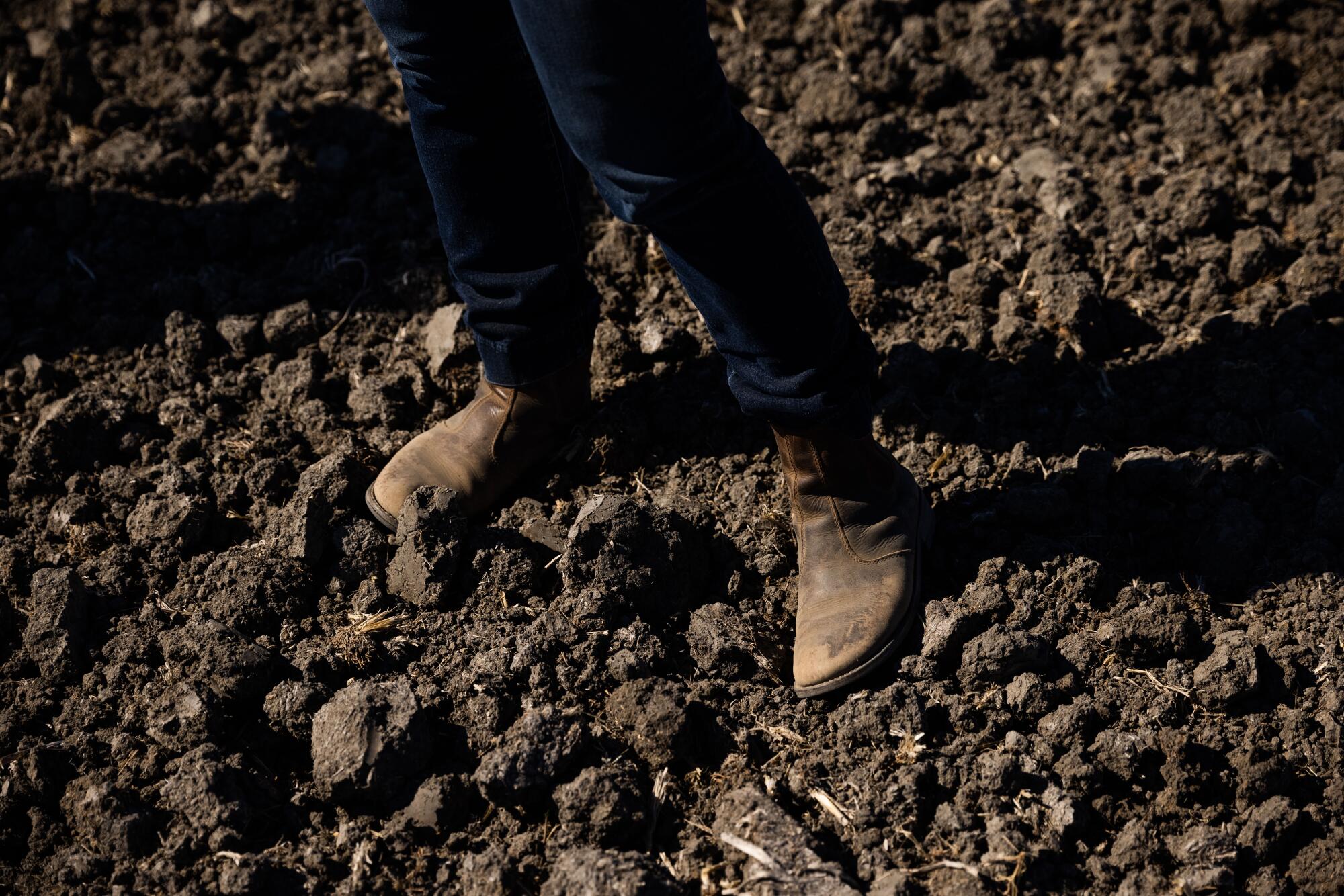 A woman stands in a fallowed rice field. 