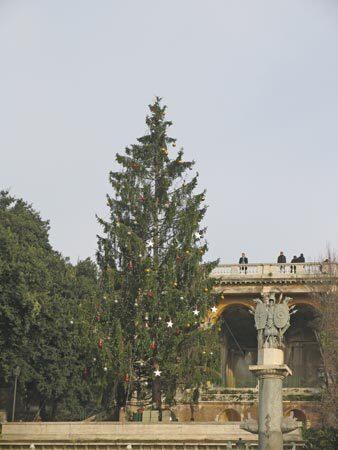 Christmas trees of Rome