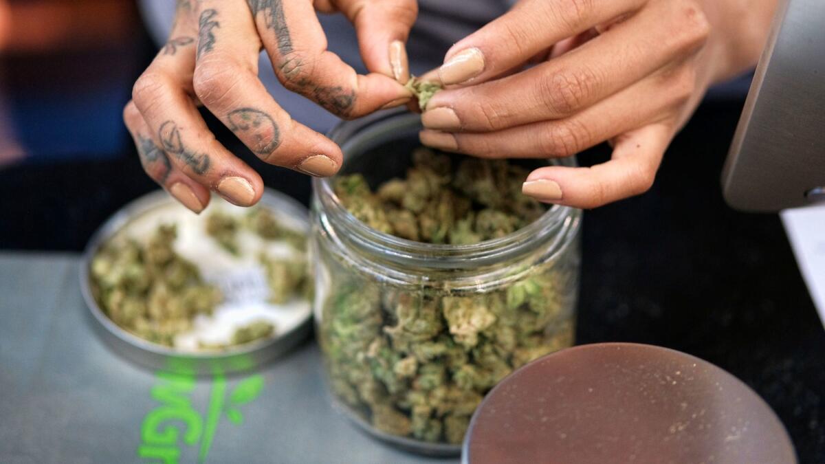 A budtender weighs out marijuana for a customers at ShowGrow, a medical marijuana dispensary in downtown Los Angeles.