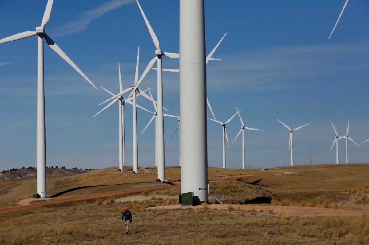 A biologist from West Inc., which provides environmental contracting services for PacifiCorp, looks for the carcasses of birds that may have hit turbines at a PacifiCorp wind farm in Converse County, Wyo., on Nov. 15.