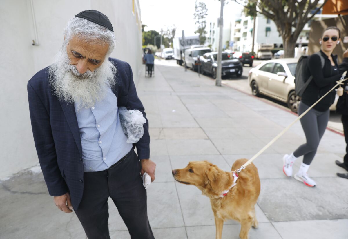 A dog on a leash approaches a man wearing a skull cap.