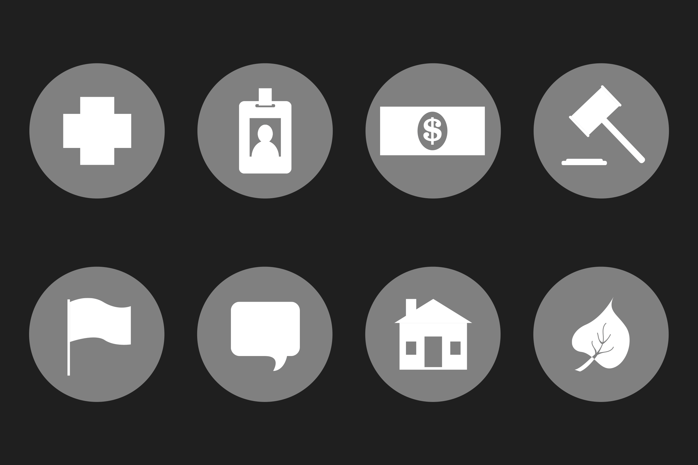 Animated icons of a medical cross, an ID badge, cash, a gavel, a flag, a chat bubble, a house and a leaf