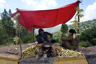 A street vendor, left, fries corns for sale on a roadside in Murree, Pakistan, near Islamabad, Pakistan, Sunday, July 9, 2023. (AP Photo/Rahmat Gul)