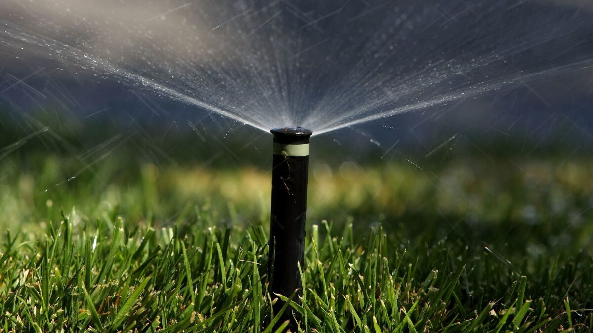 A sprinkler waters a California lawn.
