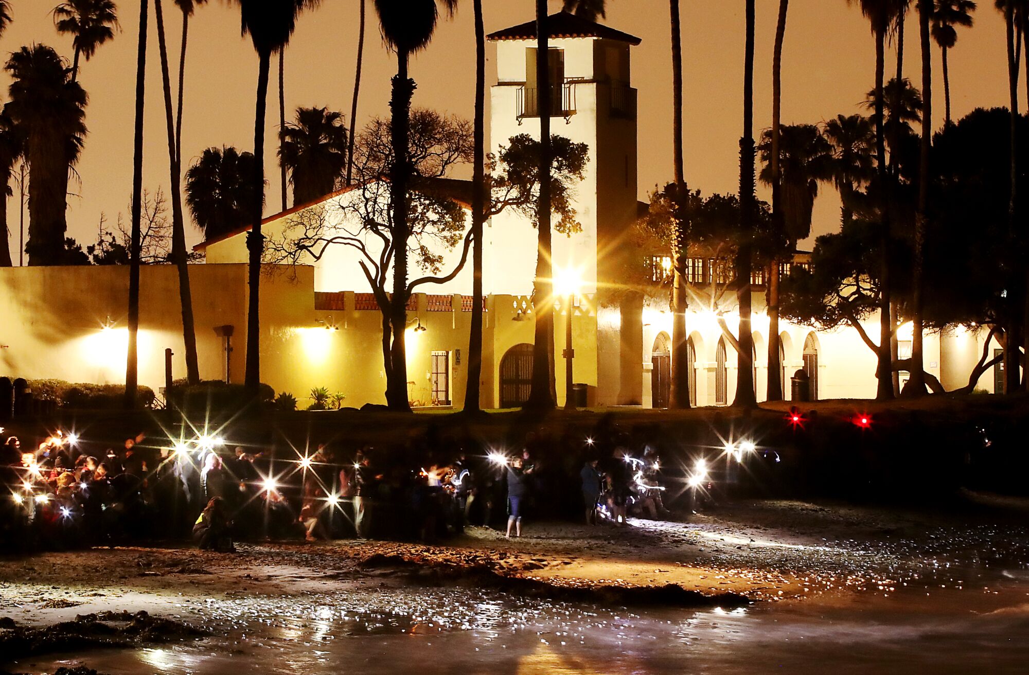 A line of people along the beach raise flashlights to watch fish.