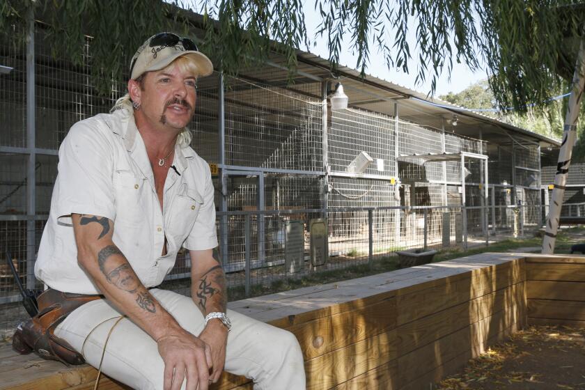 A man with blond hair in an all-white outfit sitting on a ledge by tiger cages