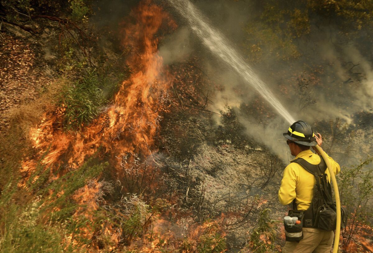 A firefighter puts out a hot spot along Highway 38 northwest of Forrest Falls, Calif., as the El Dorado Fire continues to burn Thursday afternoon, Sept. 10, 2020. The fire started by a device at a gender reveal party on Saturday. (Will Lester/The Orange County Register/SCNG via AP)