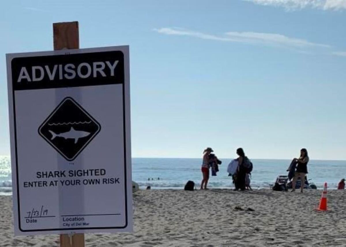 Signs posted at Del Mar beaches Tuesday advised visitors that a shark had been sighted.