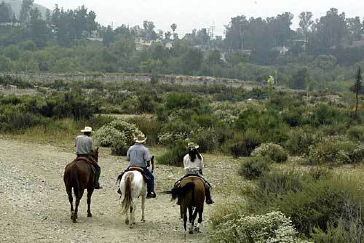 Hansen Dam is named after 19th century horse ranchers, and its equestrian trail remains a favorite.