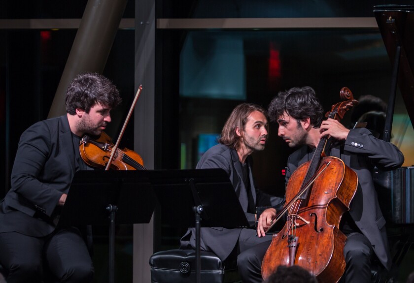 Trio Zadig
