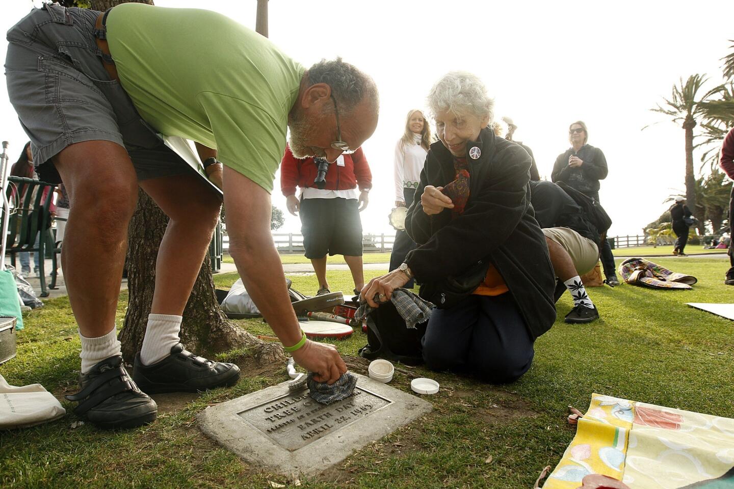 Cleaning the plaque