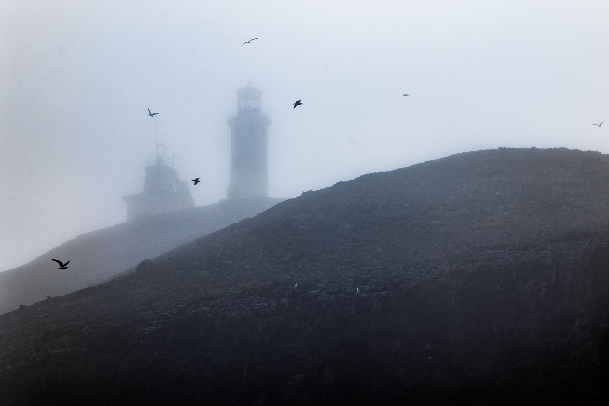 A lighthouse shrouded in fog, with birds circling. 