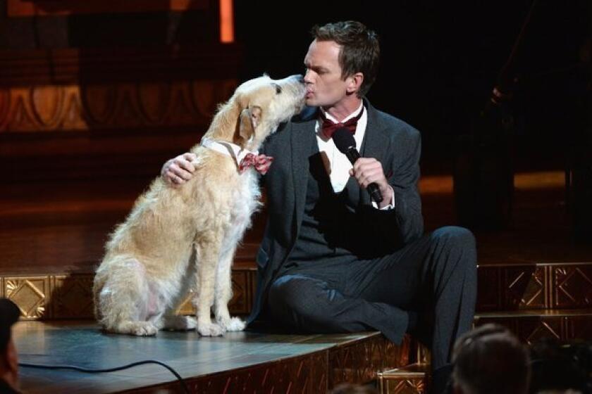 Actor Neil Patrick Harris smooches the canine Sandy from the musical "Annie" during the recent Tony Awards telecast from Radio City Music Hall in New York.