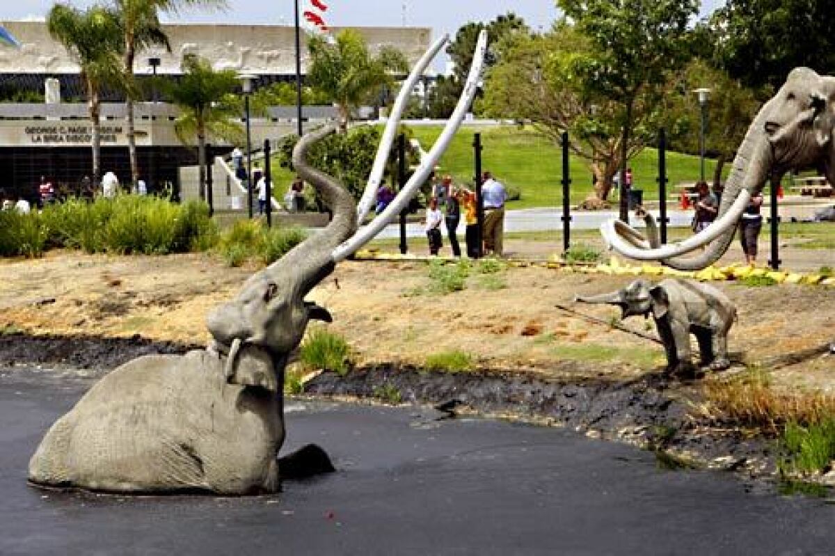 A view of the Lake Pit with mammoth at the La Brea Tar Pits (5801 Wilshire Blvd., Los Angeles; [323] 934-7243, http://www.tarpits.org), neighbored by grassy fields and the Los Angeles County Museum of Art, have been attracting visitors for more than a century.