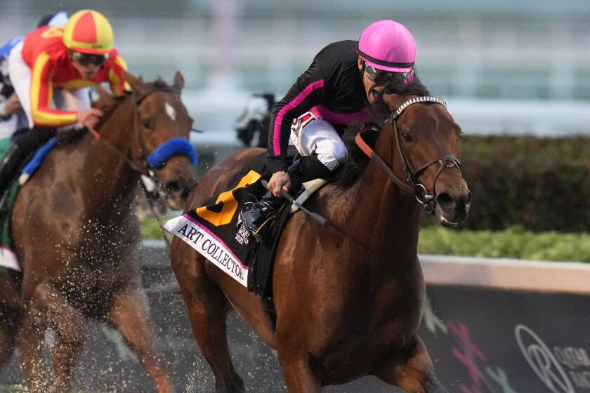 Art Collector, ridden by jockey Junior Alvarado, leads the field to win the Pegasus World Cup.