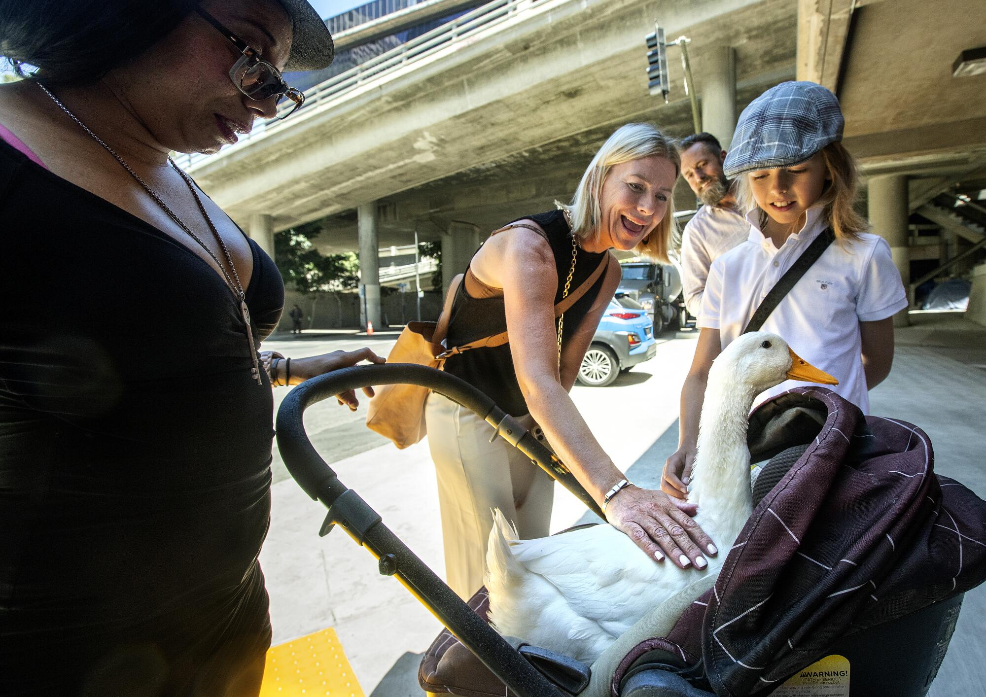 Angelica Lindemann and her son, Sander, pet Cardi D in her stroller in downtown Los Angeles. 