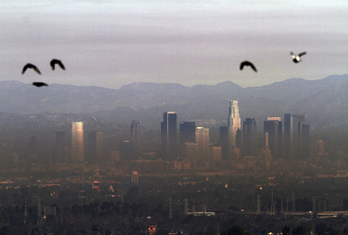 California's progress in cleaning polluted air could be at risk from climate change, a new report says. Above, a view of downtown Los Angeles from Hilltop Park in Signal Hill.