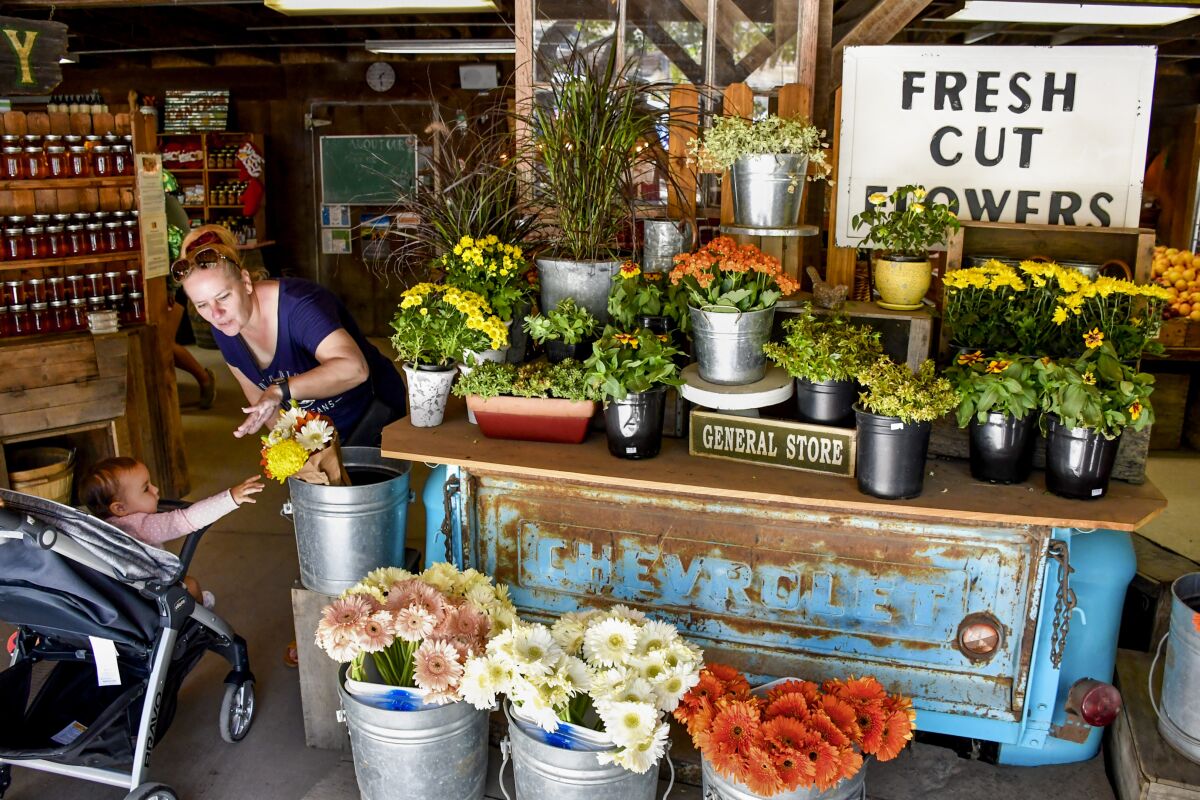 A store counter covered with flowers