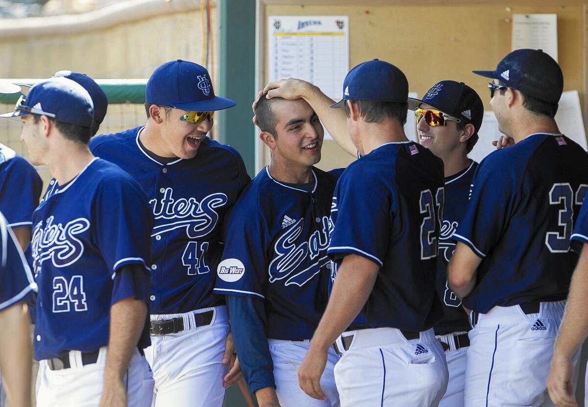 UC Irvine's Mikey Duarte, center, who is seen here being congratulated after scoring a run last year, is a first-team all-conference returner who led the team in hitting (.345) and hits (78) last season, but is currently battling an elbow injury that could slow or even sideline him indefinitely.