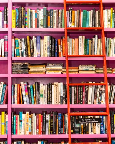 An orange ladder leans against pink shelves filled with books.