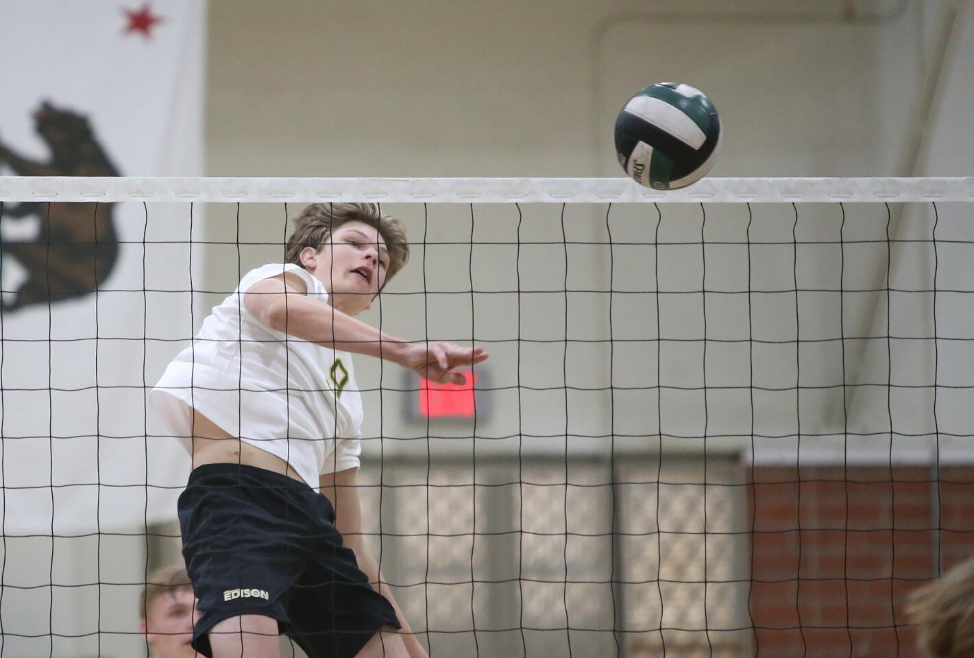 Photo Gallery: Edison vs. Los Alamitos in boys’ volleyball