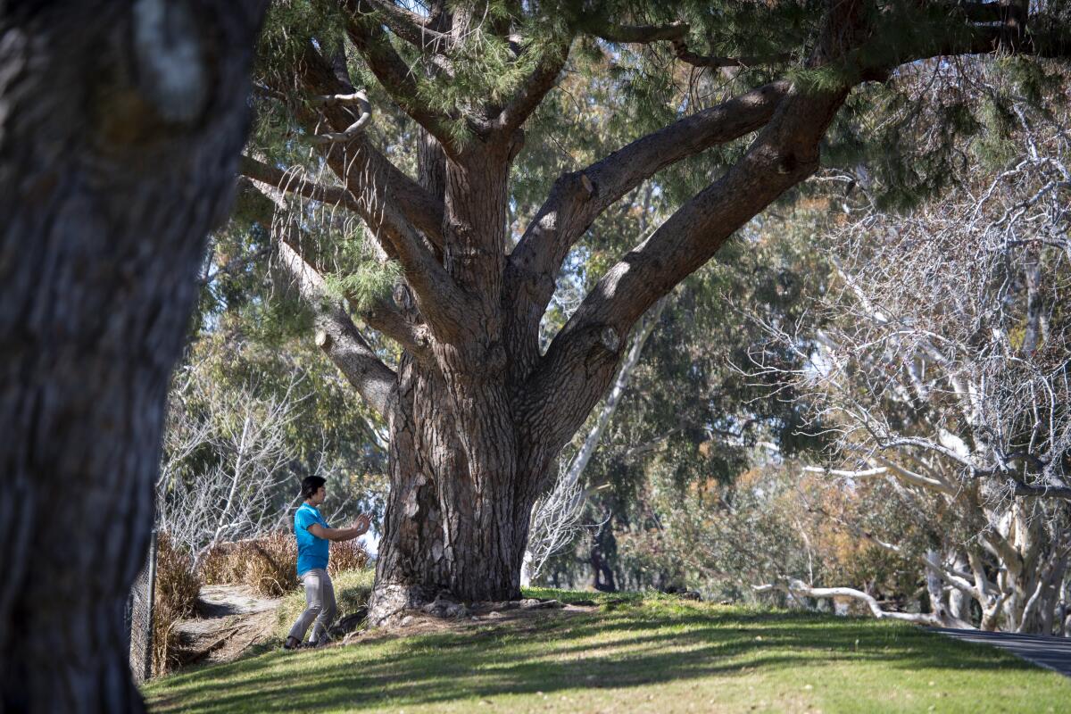A man exercises amid warm weather at Mile Square Park in Fountain Valley on Feb. 20. The region could see record high temperatures Thursday.
