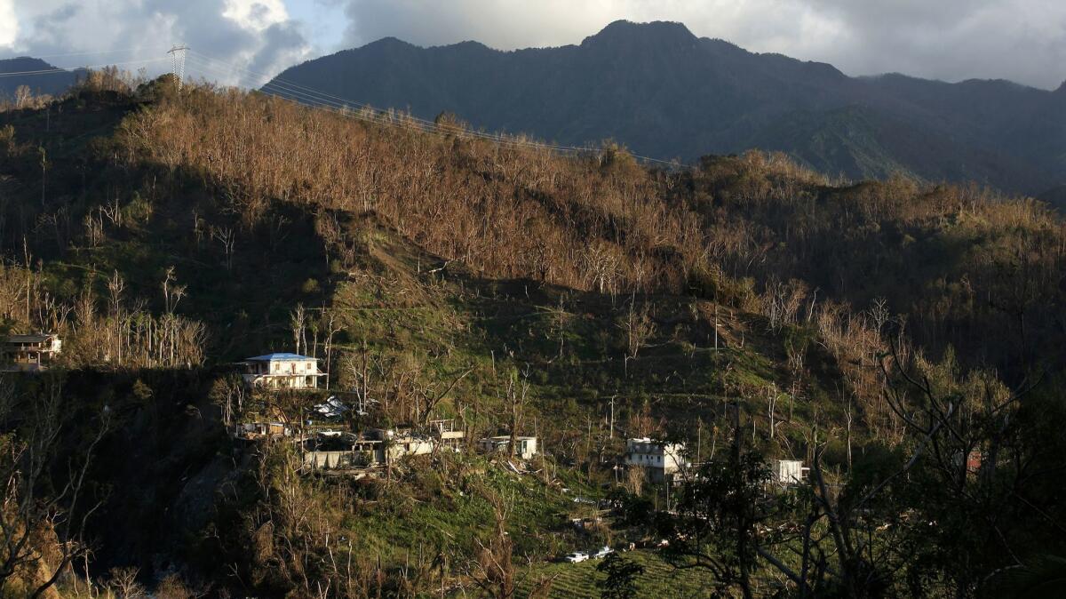 The mountain town of Juyaya, Puerto Rico, is one of the most remote on the island. Help after Hurrican Maria was slow to arrive due to roads being blocked by landslides and fallen trees.