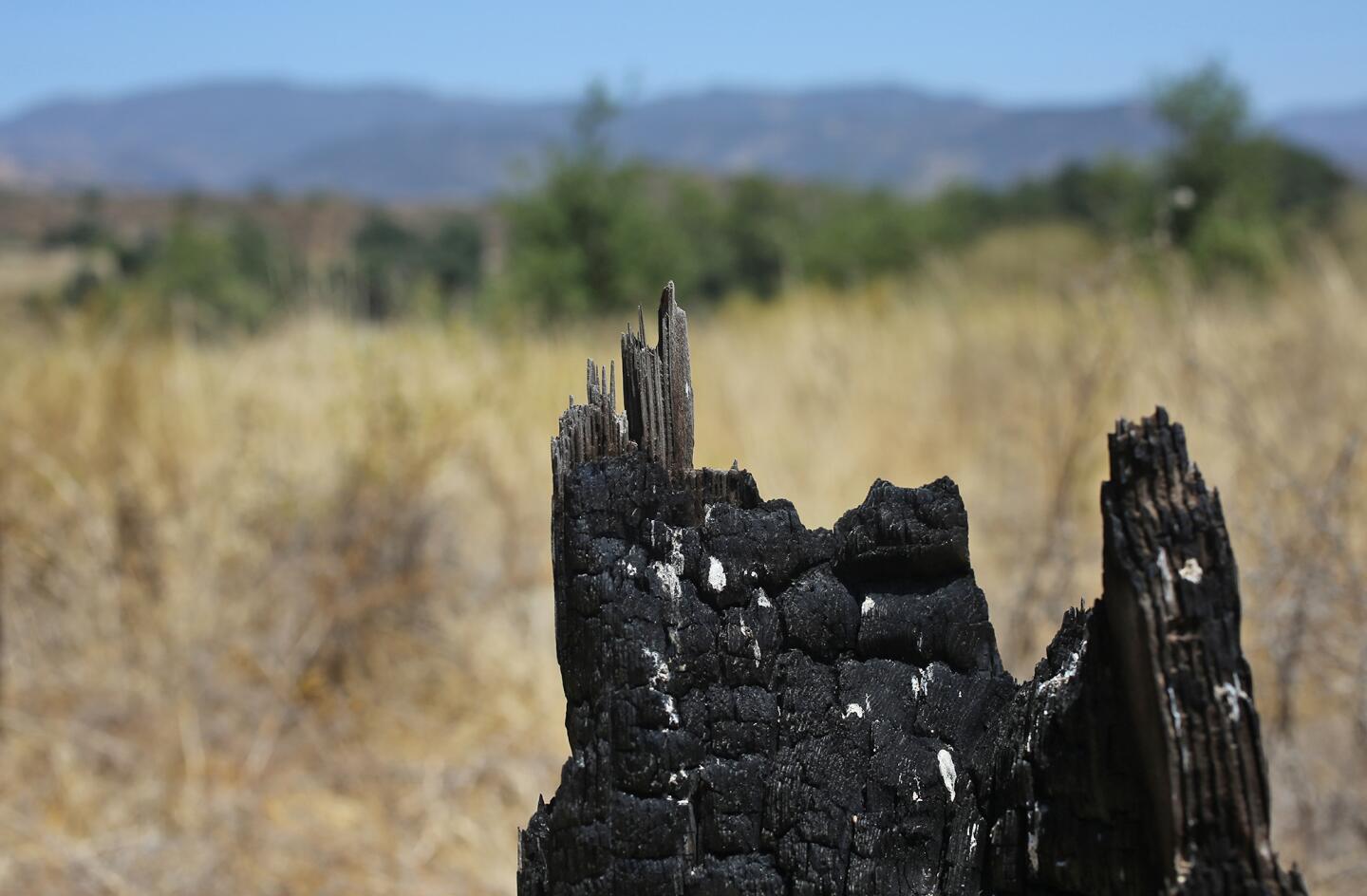 Bee Flat Canyon