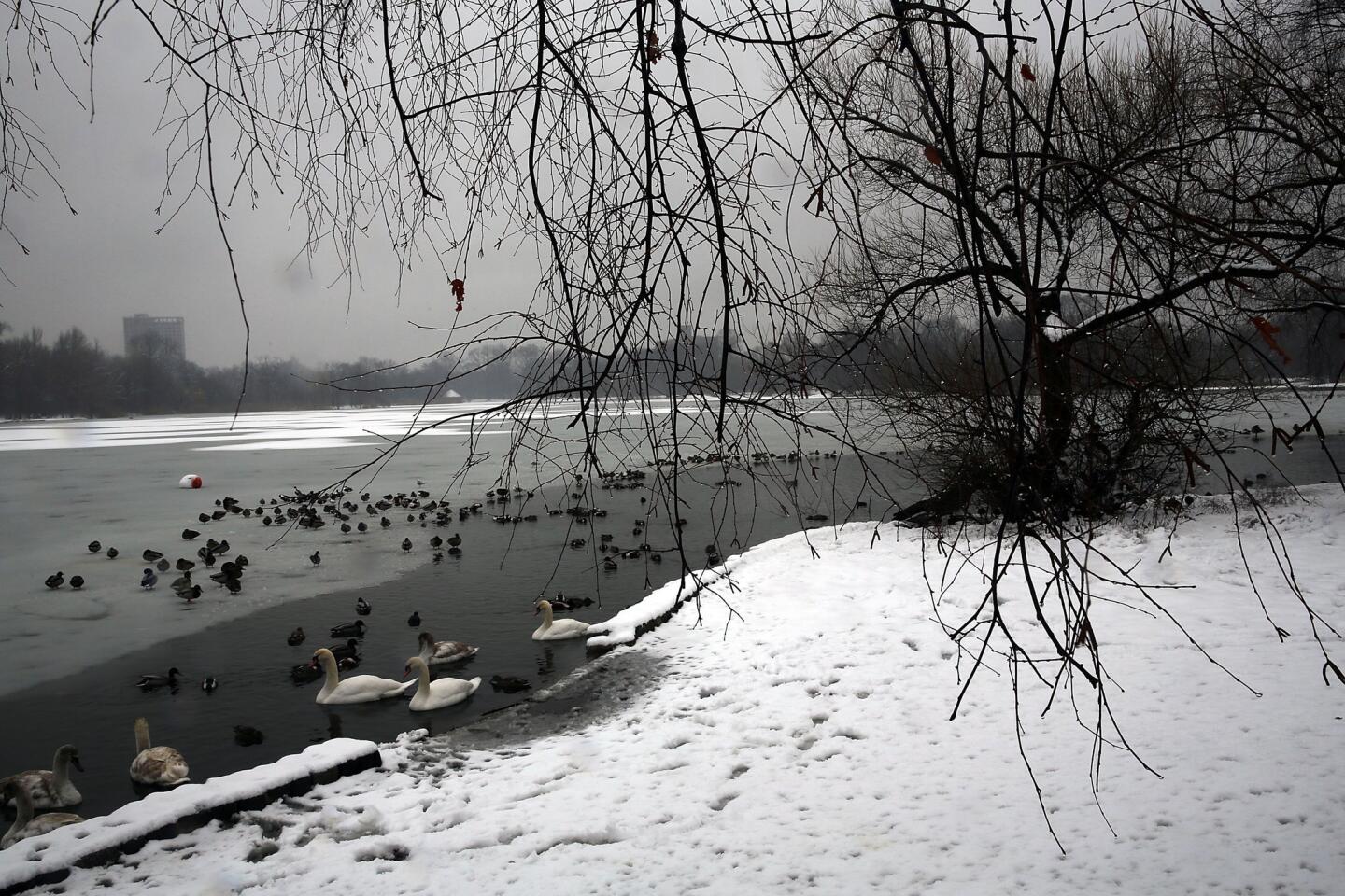 Snow in New York