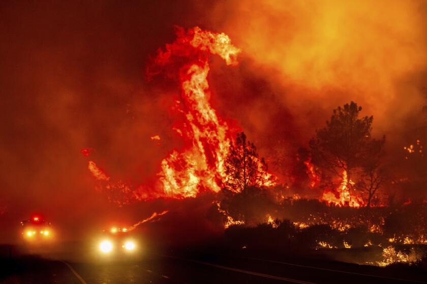 Las llamas saltan sobre los vehículos de bomberos mientras el incendio Park consume la autopista 36 cerca de Paynes Creek, en el condado de Tehama, California, el viernes 26 de julio de 2024. (AP Foto/Noah Berger)