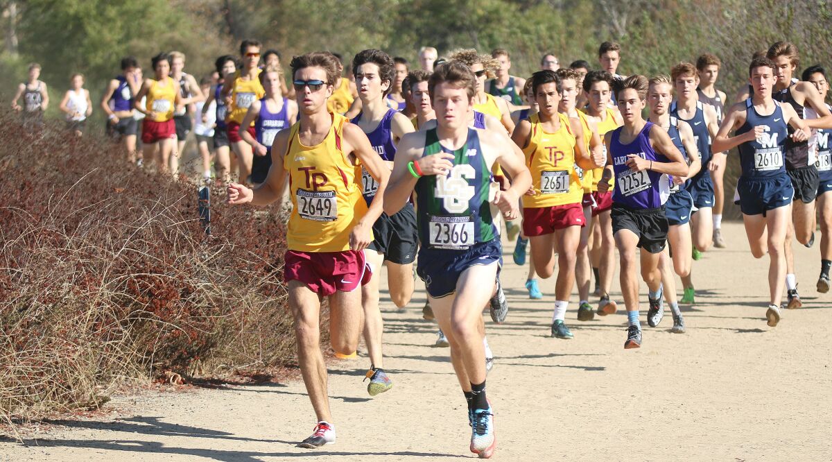 Avocado West boys' race heads up the first hill.
