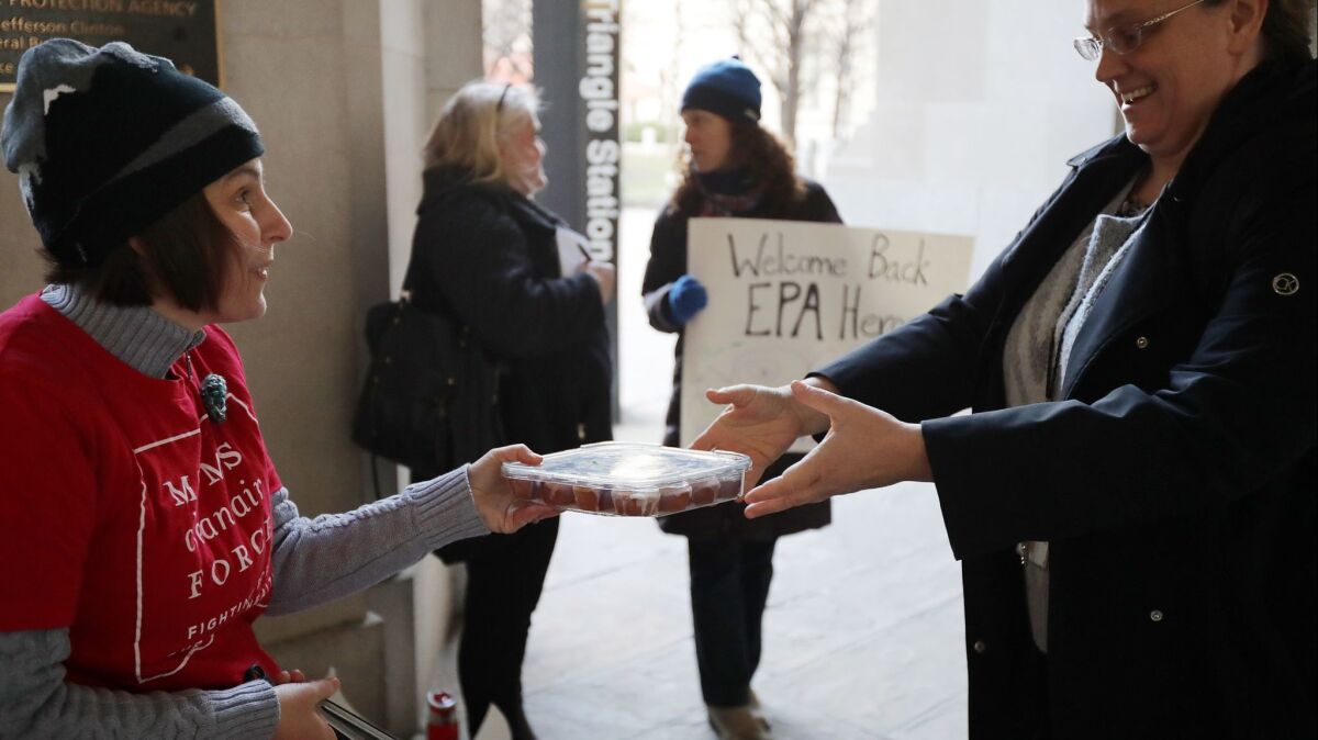 Moms Clean Air Force activist Liz Brandt welcomes EPA employees back to work with cinnamon rolls outside a Washington D.C. Metro station on Monday.