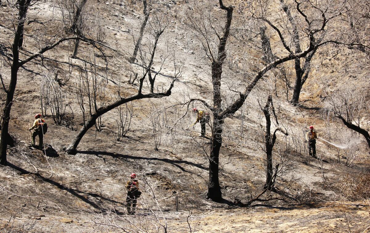 Laboring under triple-digit temperatures, firefighters from Bear Divide Hotshots keep embers in check on scorched hills in the Placerita Canyon area of Santa Clarita. (Al Seib / Los Angeles Times)