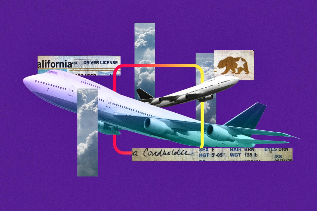 illustration of airplane with California ID
