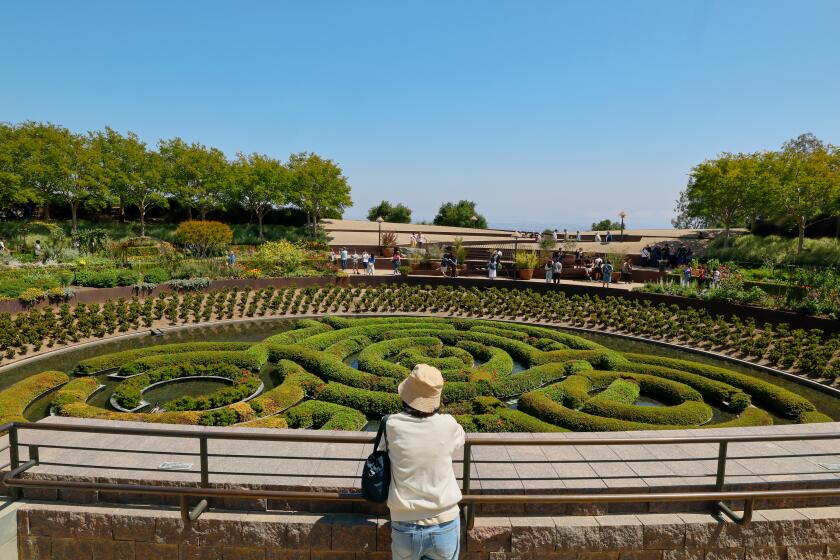 A visitor looks out to a maze of hedges, part of Robert Irwin's epic "Central Garden" at the Getty Center in Los Angeles.