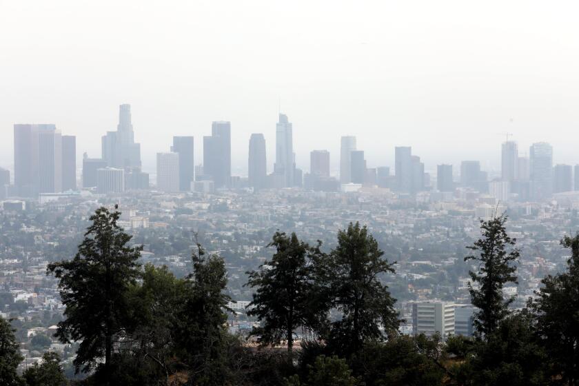 The Los Angeles skyline is shrouded in smoke from the Bobcat Fire as seen from the Griffith Observatory in Los Angeles.