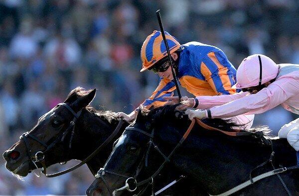 Magician, Ryan Moore, The Fugue, William Buick