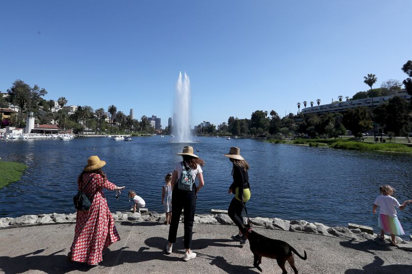 LOS ANGELES, CA - MAY 26:. Visitors enjoy a sunny day on the banks of Echo Park Lake after the park reopened to the public on Wednesday, May 26, 2021. The park was closed earlier this year after the eviction of about 200 homeless people who had taken up residence there. After its closure the park was cleaned and renovated. The evictions and closure remain a sore point for some local residents and homeless advocates. (Luis Sinco / Los Angeles Times)