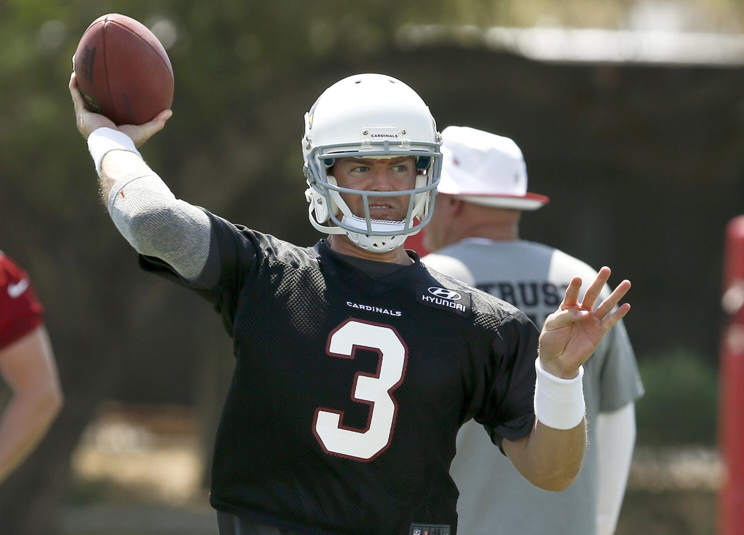 Carson Palmer of the Cincinnati Bengals looks to pass against the