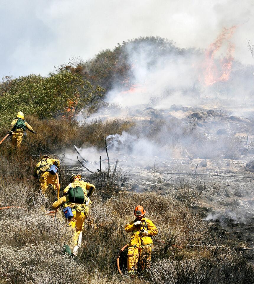 Photo Gallery: Fire on the hills above the 134 Freeway in Eagle Rock